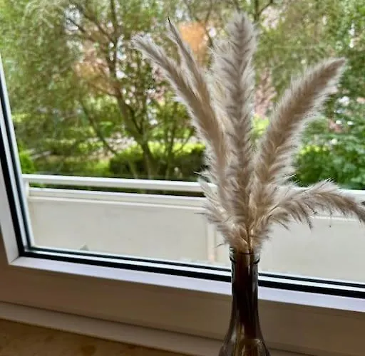 Gemuetliche Wohnung, Im Zentrum Von Lejlighed Krefeld